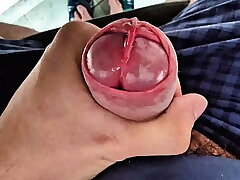 Rare Cock Head Slit Edging with Precum asian gay sex folkloric videos
