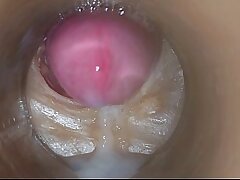 Precum in my pussy Camera In Vagina 4k hot asian delighted porn sex videos