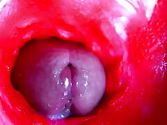 Progressive close-up ASMR head inside wet pussy xxx gay asian hot sex videos