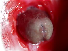 Fat orgasm inside the anus! Fantastic whimpering orgasm and a lot of sperm! newfangled handsome asian gay sex videos